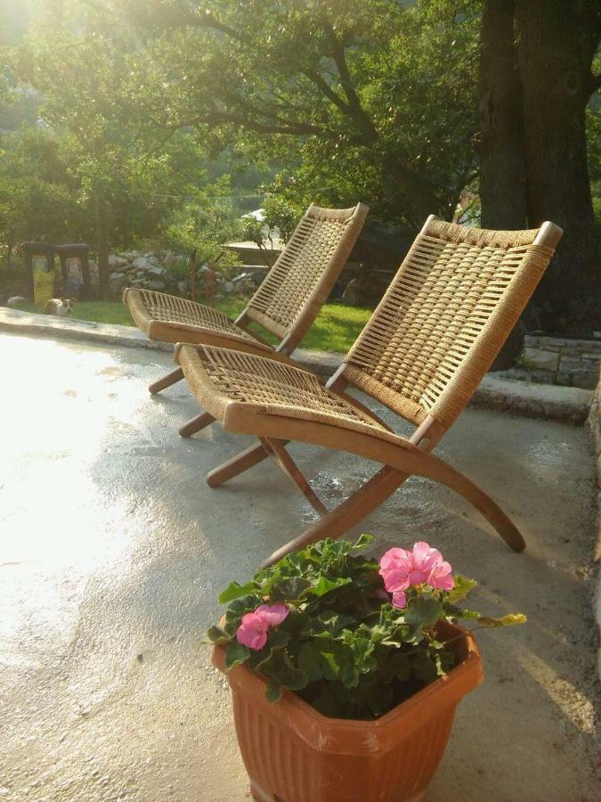 Holiday Homes Mirjana Mošćenička Draga エクステリア 写真